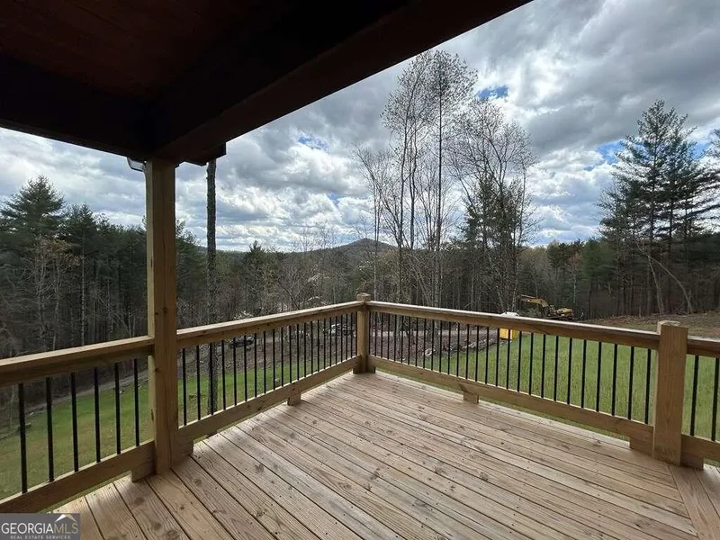 450 Twin Springs Road, Mineral Bluff, GA 30559, Mineral Bluff, Georgia, United States. - Photo 34