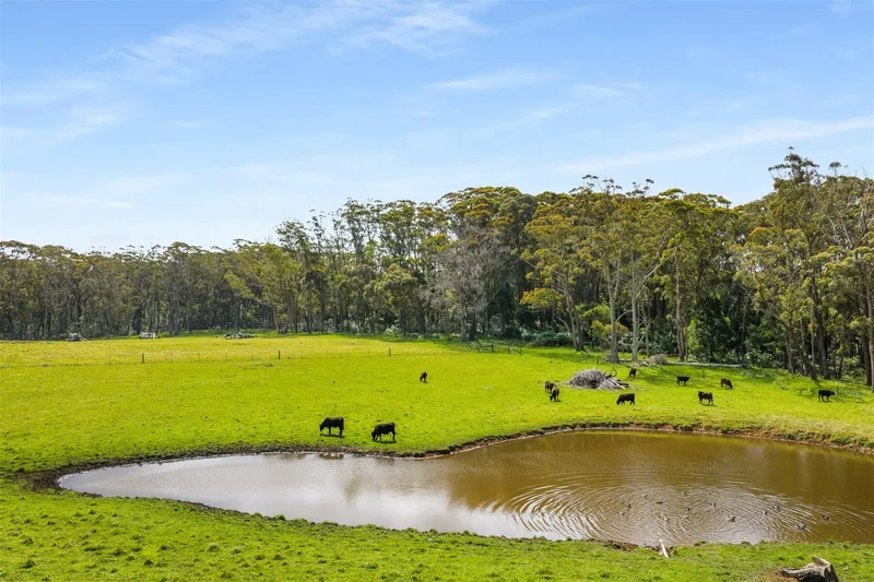 227 Somerset Road, Fitzroy Falls, NSW, Fitzroy Falls, New South Wales, Australia. - Photo 17