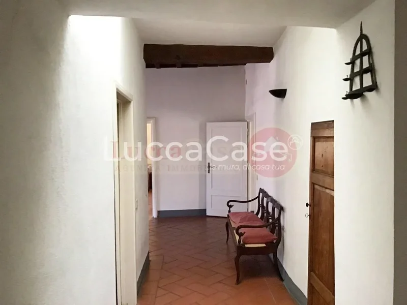 Lucca, Tuscany, Italy. - Photo 6