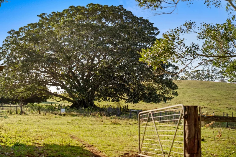 Alcorn Road, Knockrow, New South Wales, Australia. - Photo 19