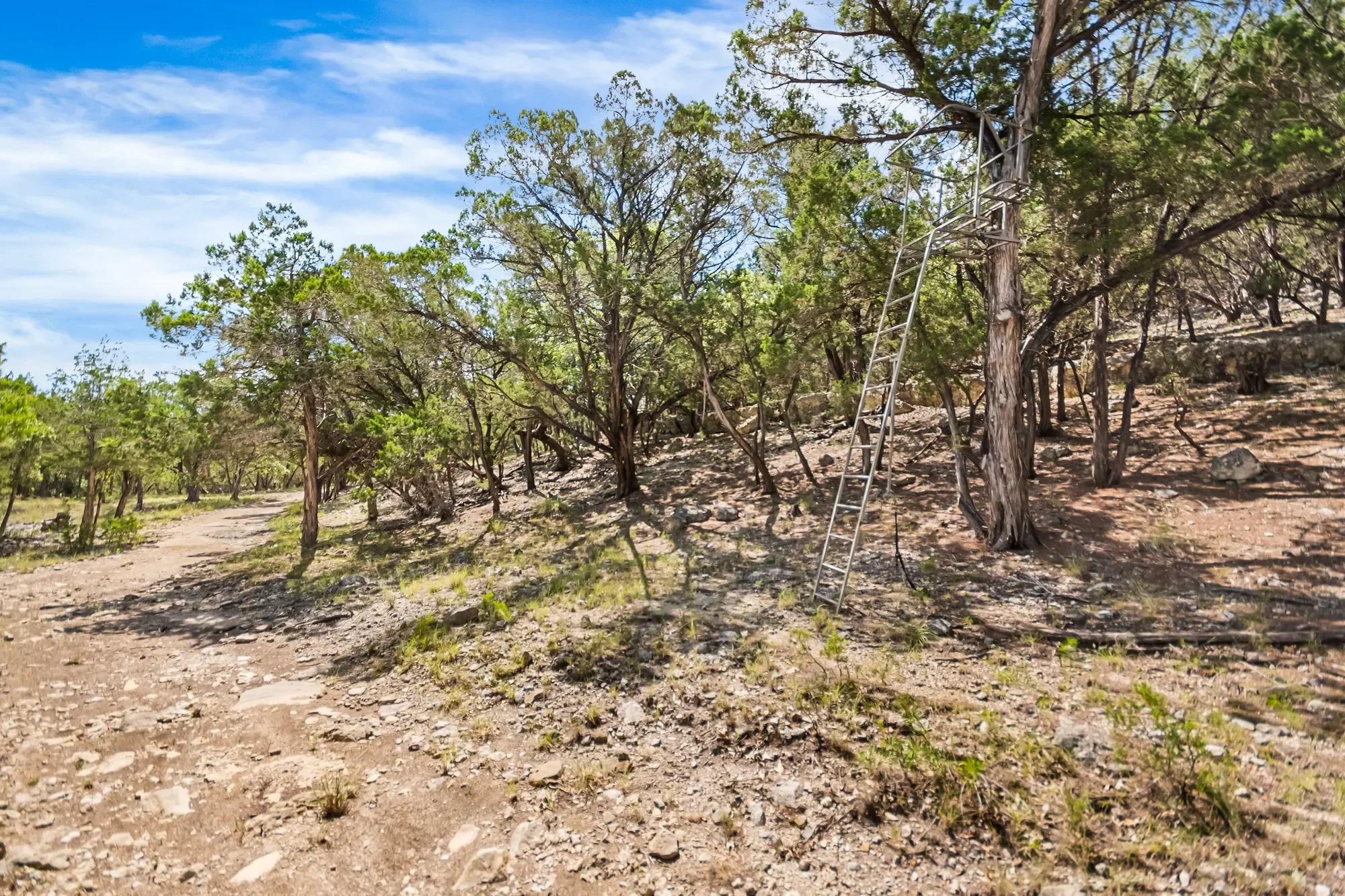 4366 Whartons Dock Road , Bandera, TX 78003, Bandera, Texas, United States. - Photo 9