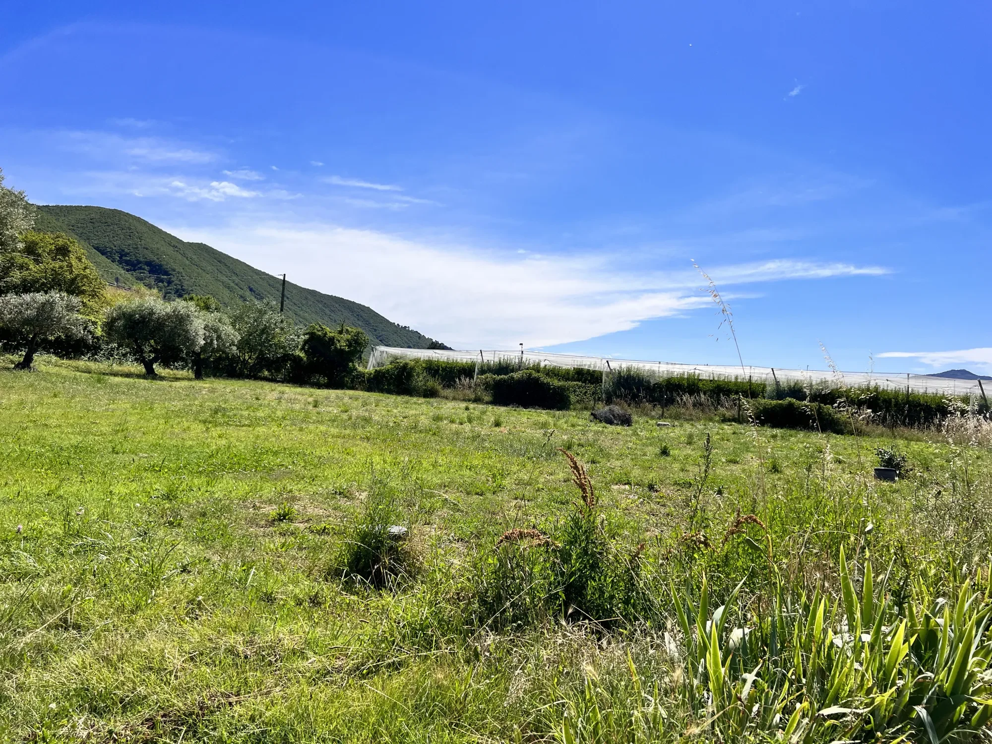 Les Mées, Provence-Alpes-Côte d'Azur, France. - Photo 14