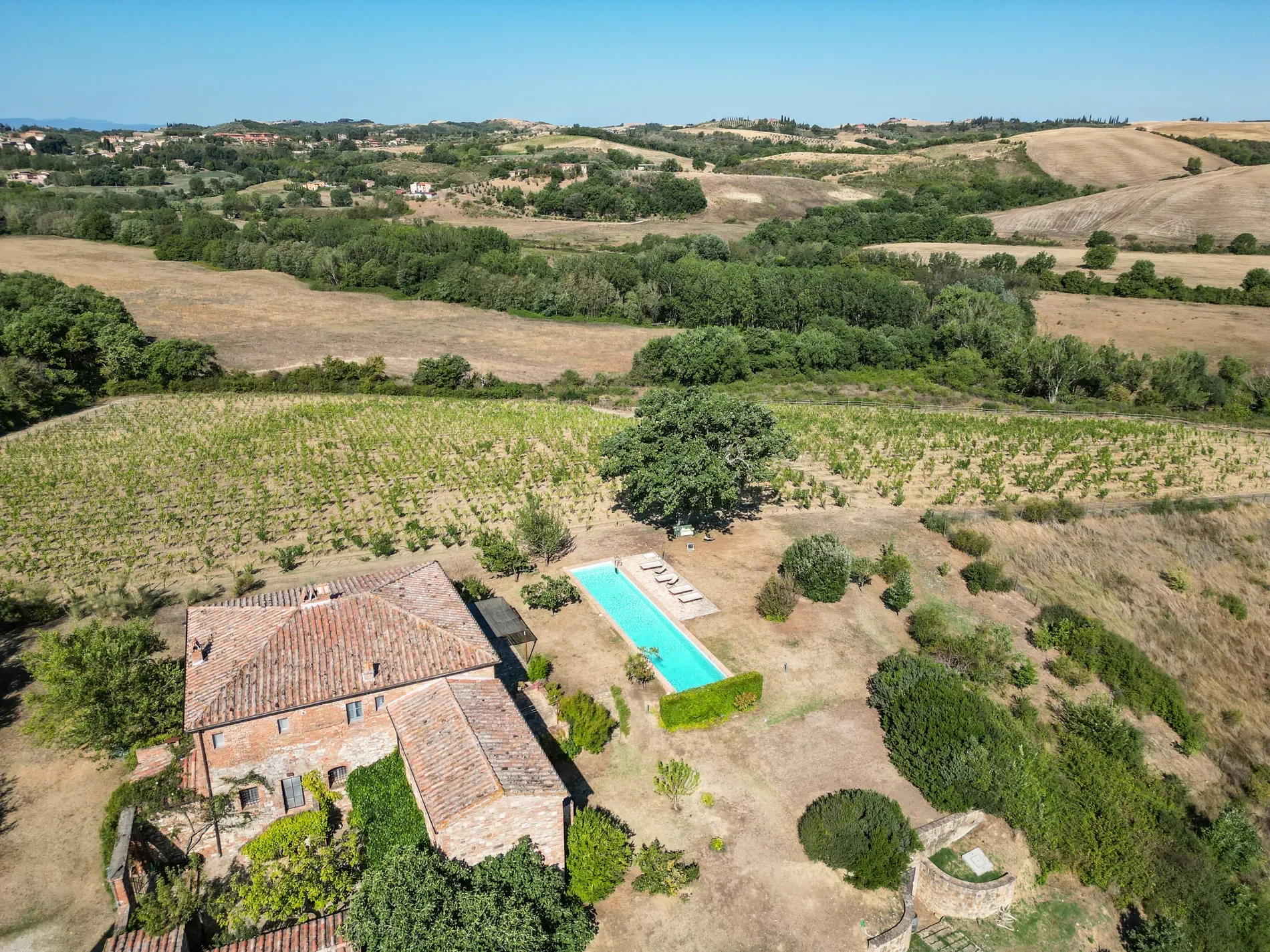 53024 Montalcino, Province of Siena, Italy, Castelnuovo dell’Abate, Tuscany, Italy. - Photo 77