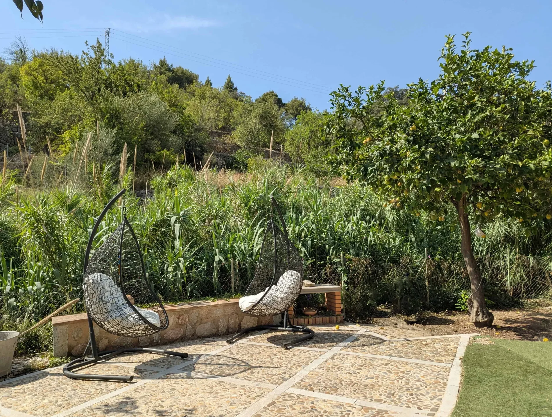 Sóller, Mallorca, Sóller, Biniaraix, Soller, Balearic Islands. - Photo 11