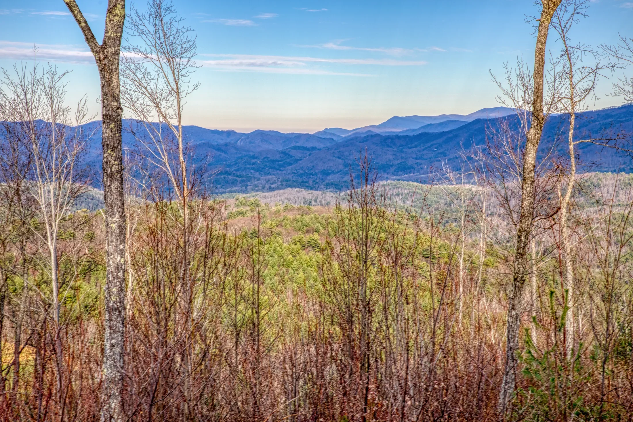 1898 Kennedy Way , Del Rio, TN 37727, Del Rio, Tennessee, United States. - Photo 36