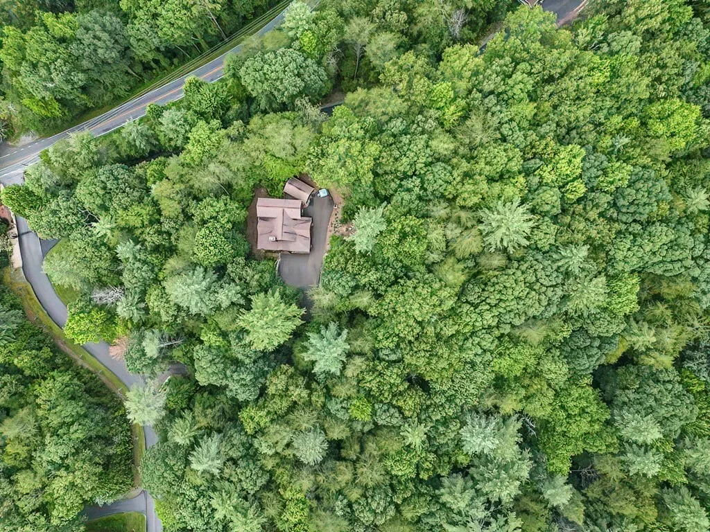 35 Leatherwood Mountain Road, Cherry Log, Georgia, United States. - Photo 40
