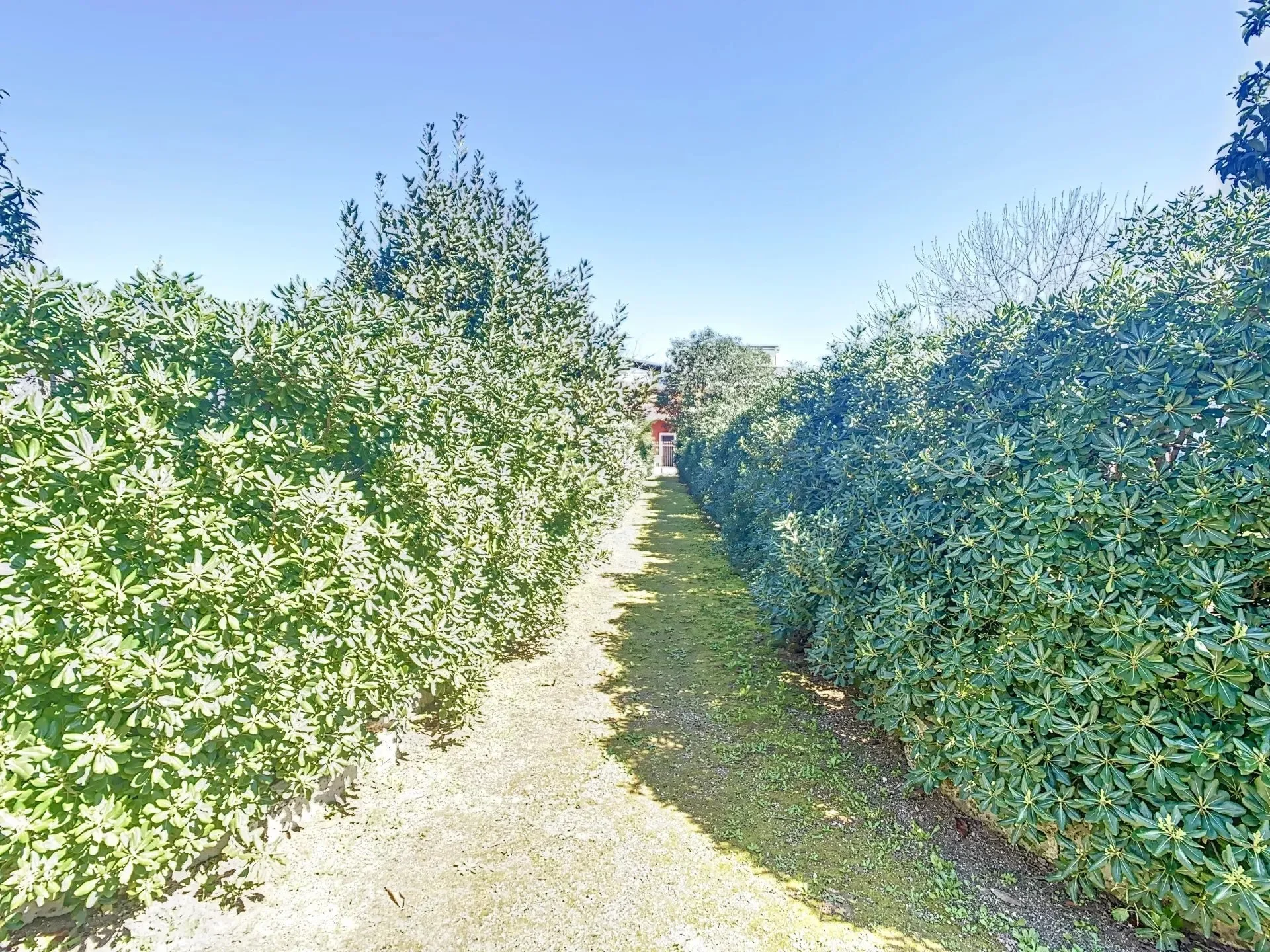 Via Gentiluomo 4, Aradeo, Apulia, Italy. - Photo 12