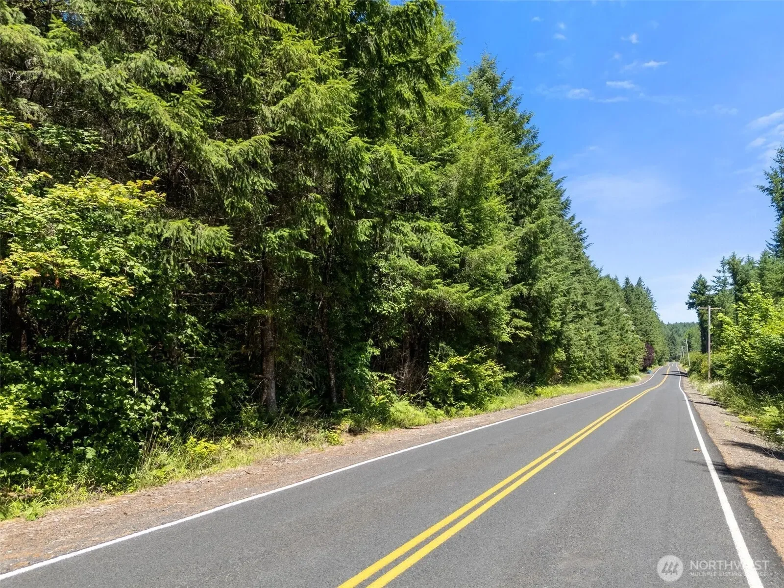 0 Kiser, Ethel, WA 98542, Chehalis, Washington, United States. - Photo 12