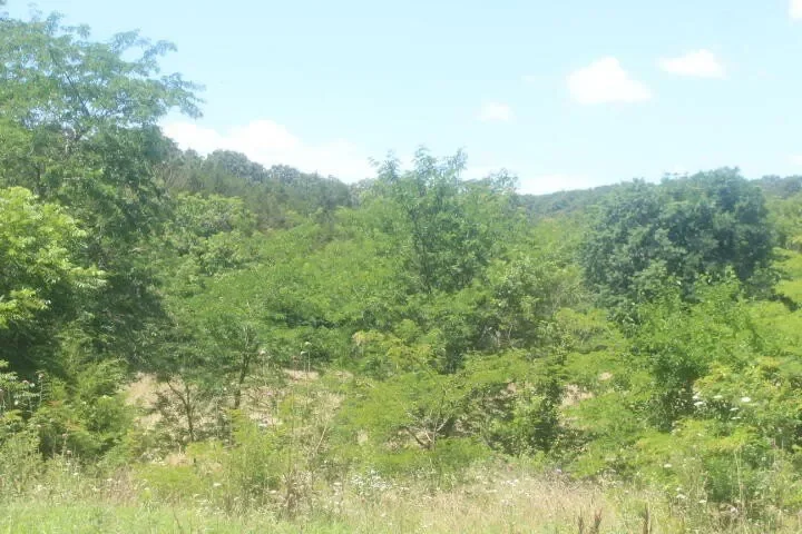 3176 S 170th Road, Polk, MO 65727, Bolivar, Missouri, United States. - Photo 76