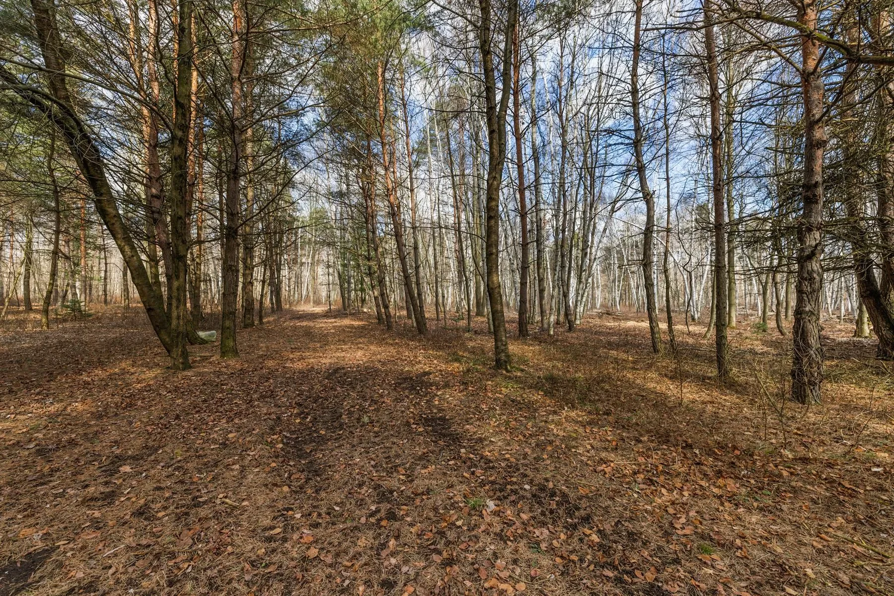 7699 Minnick Rd, Rubicon Twp, MI 48441-8223, Helena, Michigan, United States. - Photo 23