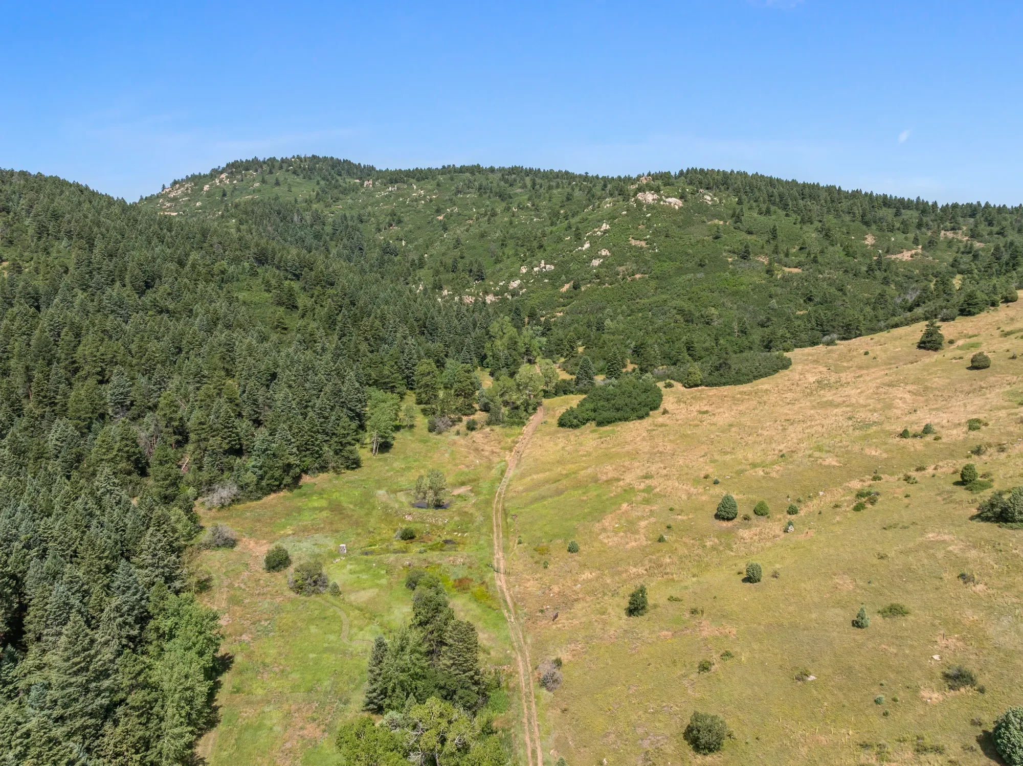 12954 Kuehster Road , Littleton, CO 80127, Littleton, Colorado, United States. - Photo 14