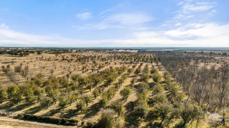 TBD Fm 1476, Dublin, TX 76446, Dublin, Texas, United States. - Photo 4