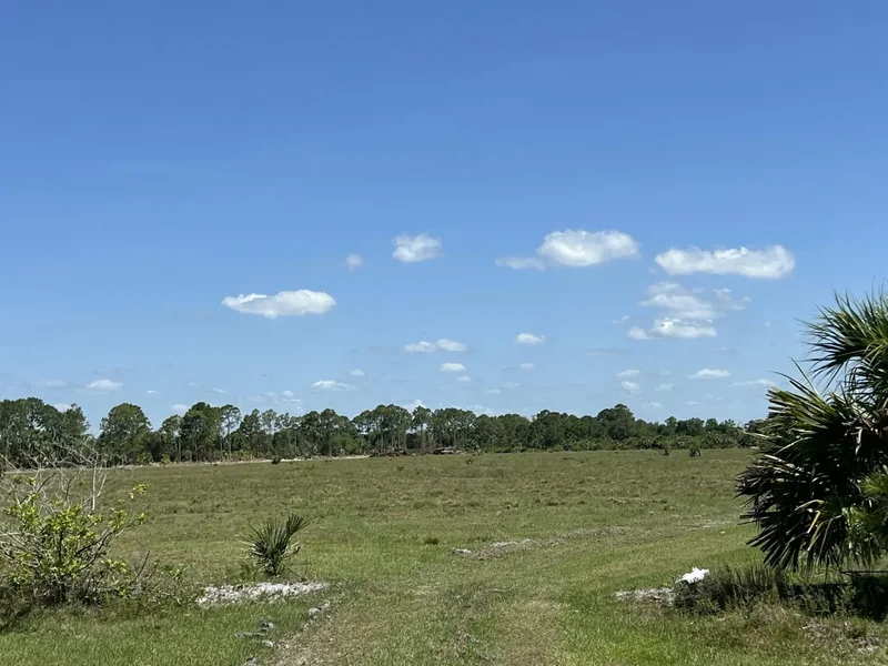 81-Acre Parcel Offering Endless Development Possibilities