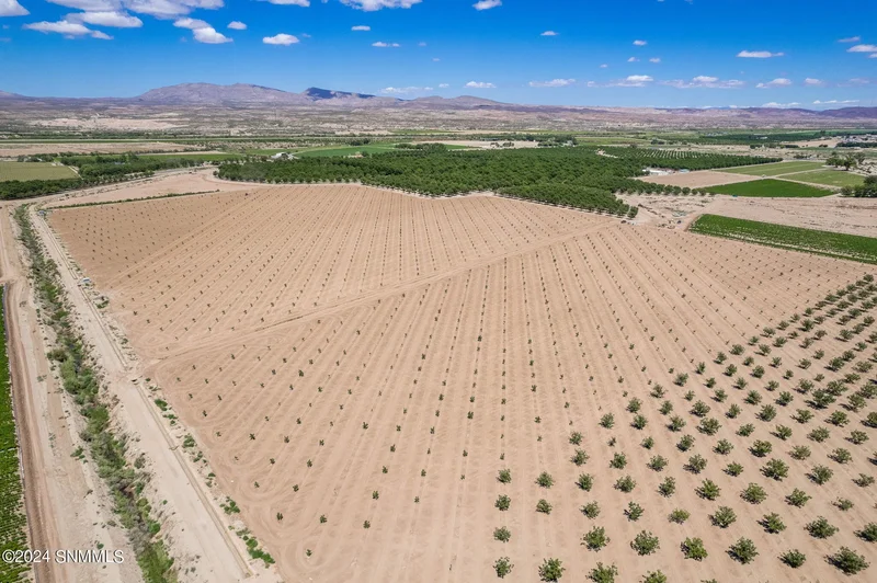 215 Red Hills Road, Hatch, NM 87937, Hatch, New Mexico, United States. - Photo 22