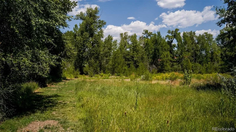 8116 Fawn Run, Salida, CO 81201, Salida, Colorado, United States. - Photo 24