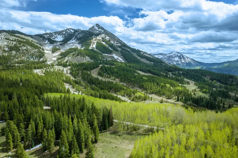 E32 Prospect Drive , Mt. Crested Butte, CO 81225, Crested Butte, Colorado, United States. - Photo 3
