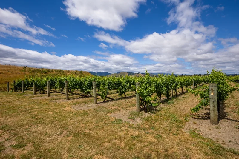 68-70 Clover Road Hope, Nelson, TAS 7091, Hope, Tasman, New Zealand. - Photo 19