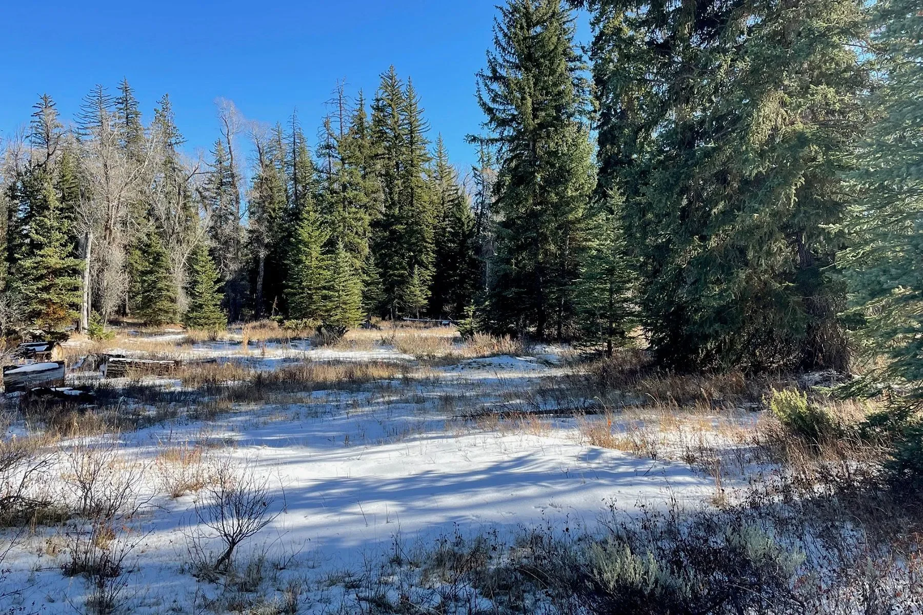 250 E Phelps Canyon Road , Jackson, WY 83001, Jackson, Wyoming, United States. - Photo 3