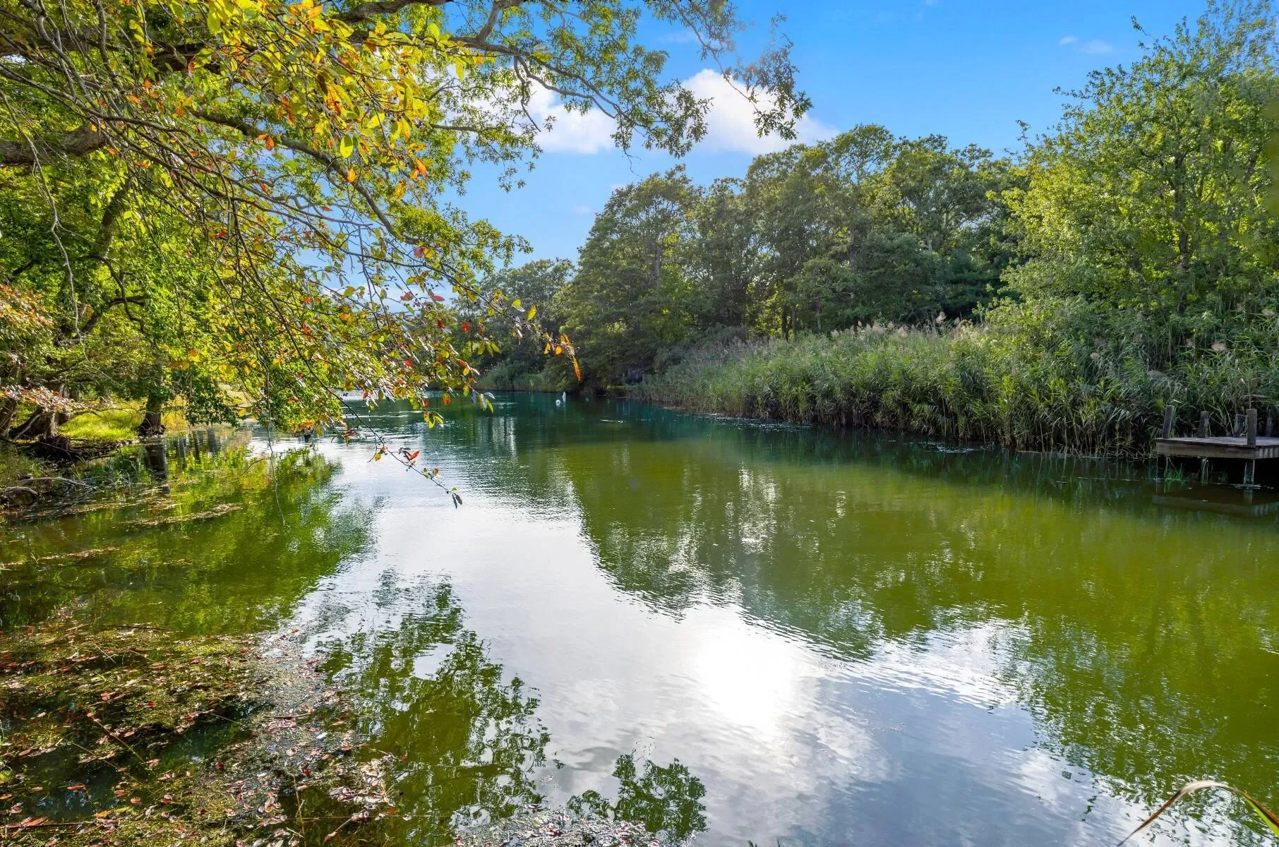 44 Georgica Close Rd , East Hampton, NY 11937, East Hampton, New York, United States. - Photo 6