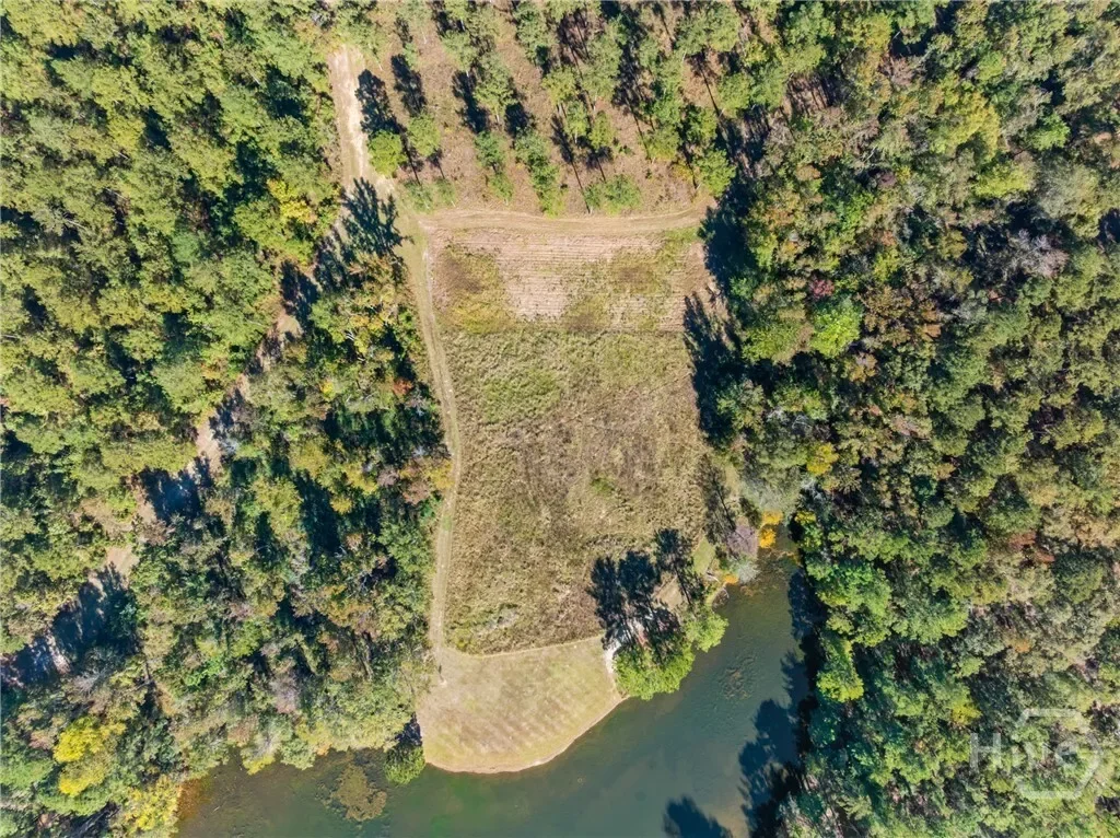 0 Honey Ridge Road, Millen, Georgia, United States. - Photo 44