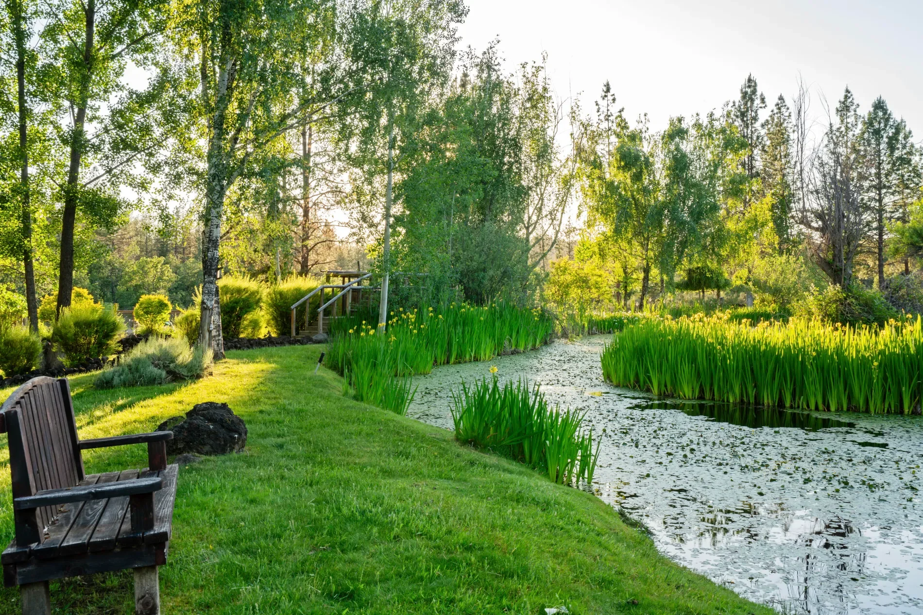 Property photo 12