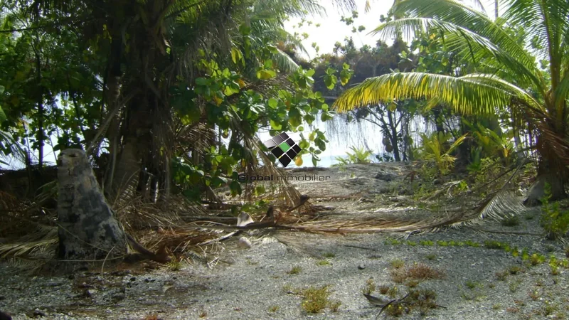 Rangiroa, Rangiroa, Rangiroa, French Polynesia. - Photo 7