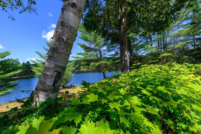 1084 Mtée St-Amour, Cantley, QC J8V3M5, Cantley, Quebec, Canada. - Photo 16
