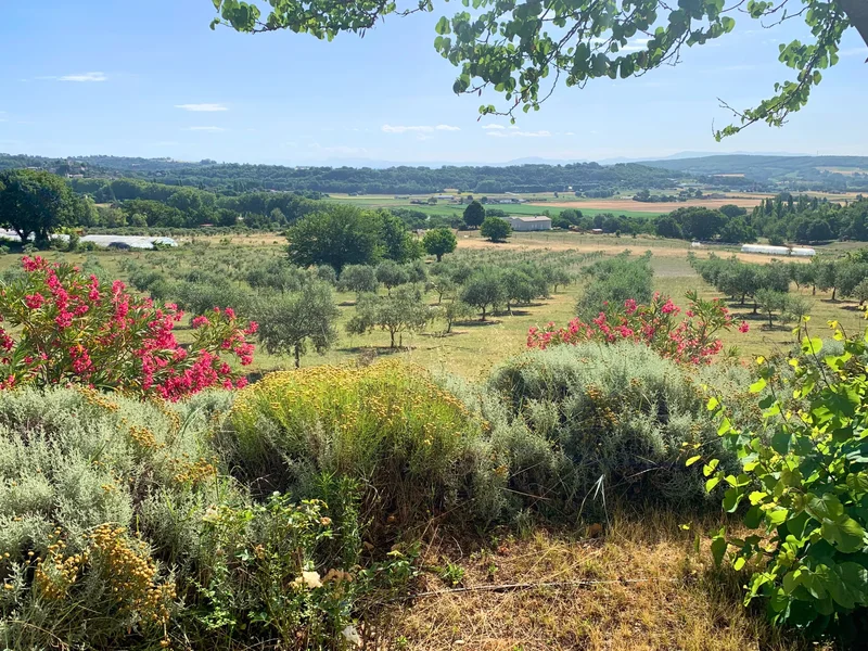 alpes de haute provence, Forcalquier, Provence-Alpes-Côte d'Azur, France. - Photo 24
