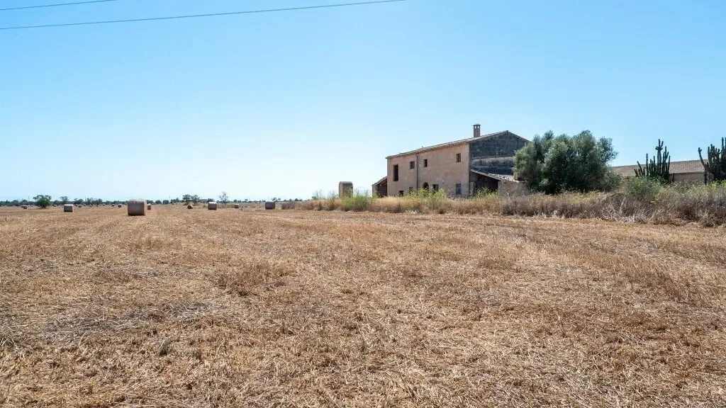 Baleares, Campos, Balearic Islands, Spain. - Photo 3