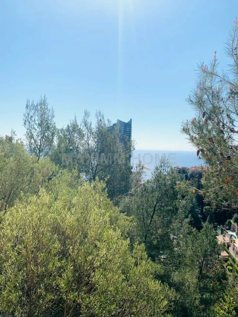 Beausoleil, Provence-Alpes-Côte d'Azur, France. - Photo 2