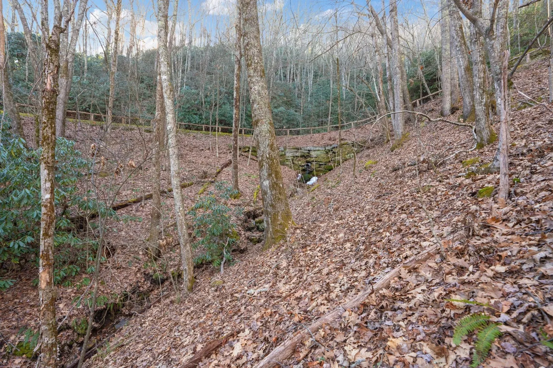 00 Off Zeb Buchanan Road, Cullowhee, NC 28723, Cullowhee, North Carolina, United States. - Photo 25