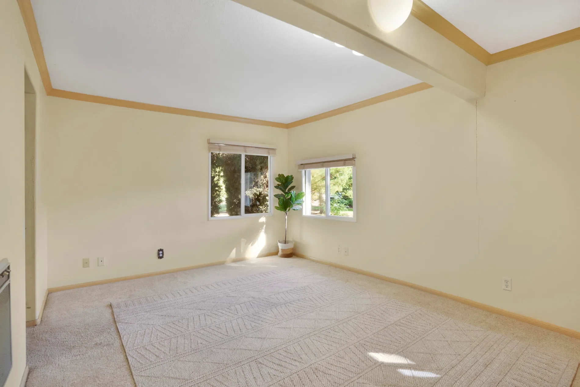 Gallery photo 4