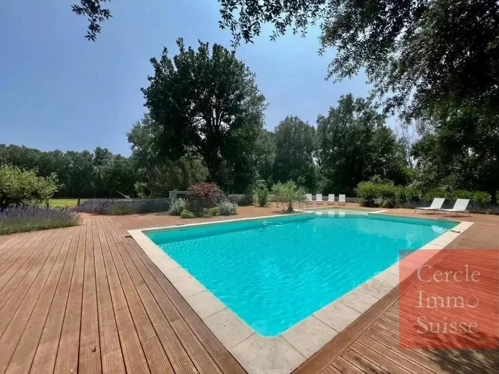 Gallery photo 7