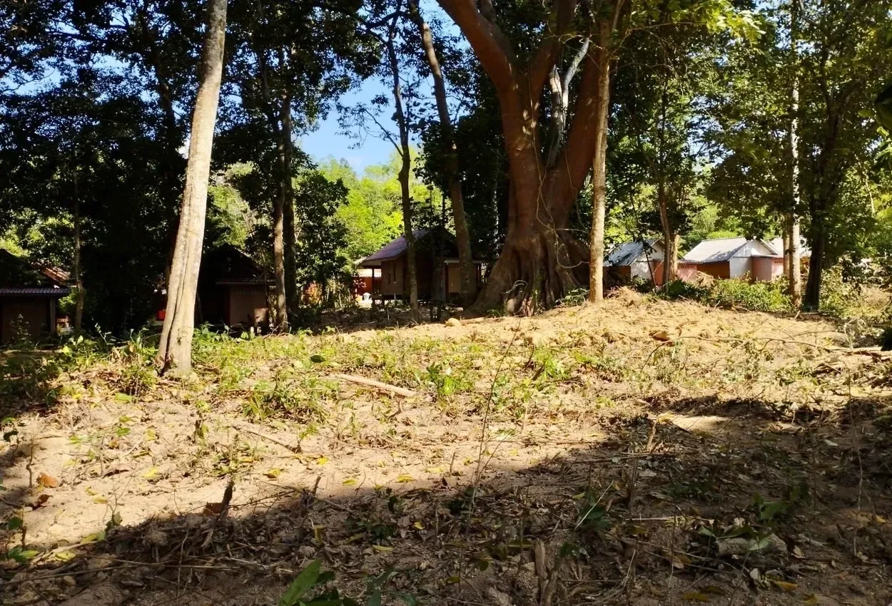 Krabi,, Ko Siboya, Krabi, Thailand. - Photo 5