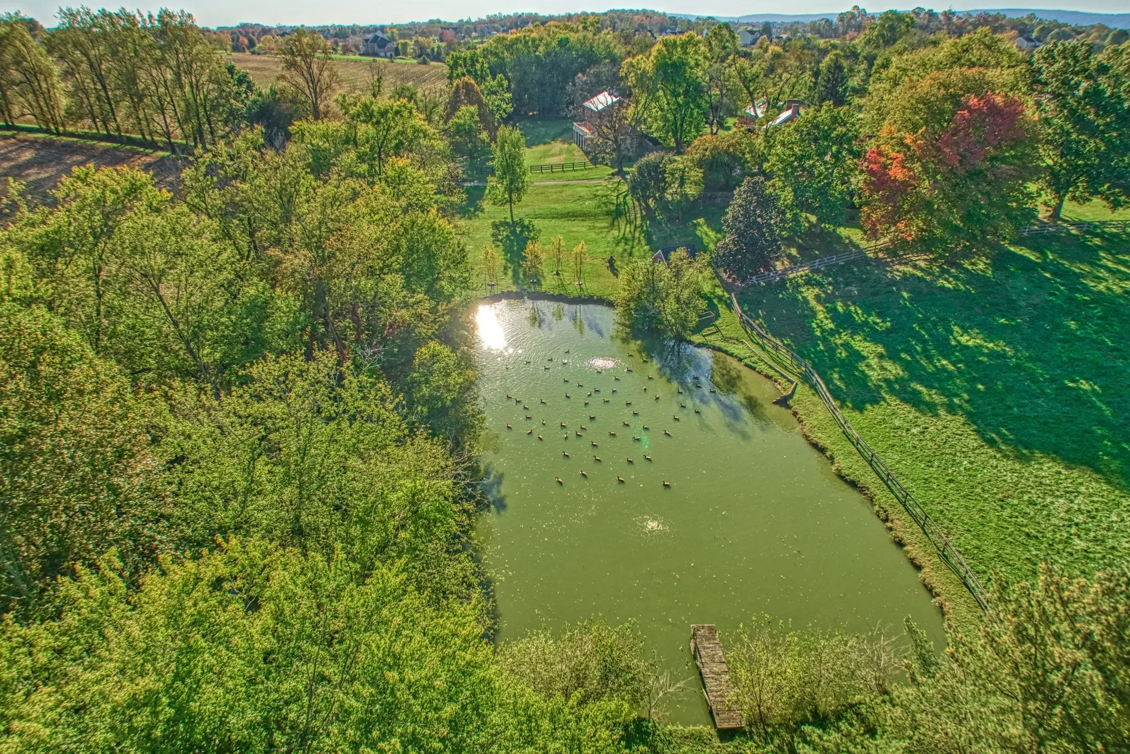 38678 Piggott Bottom Road , Hamilton, VA 20158, Hamilton, Virginia, United States. - Photo 67