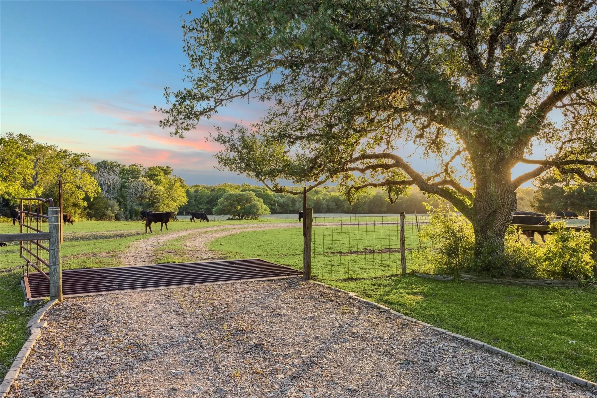 2915 Schulle Road, Round Top, TX 78954, Round Top, Texas, United States. - Photo 23