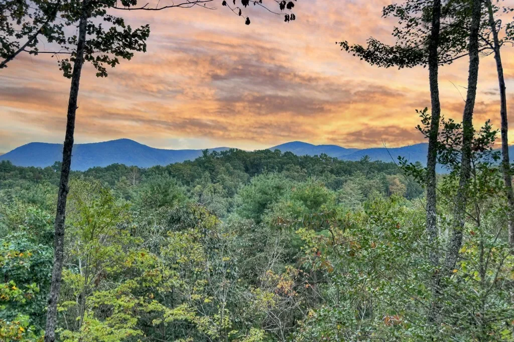 99 Dustin Drive S, Ellijay, Georgia, United States. - Photo 23