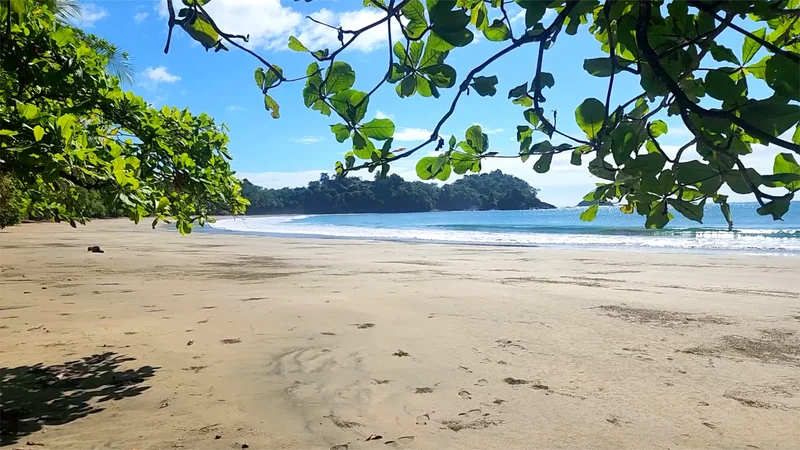 Isla Parida, Chiriquí Province, Panama, Isla Parida, Chiriquí Province, Panama. - Photo 12