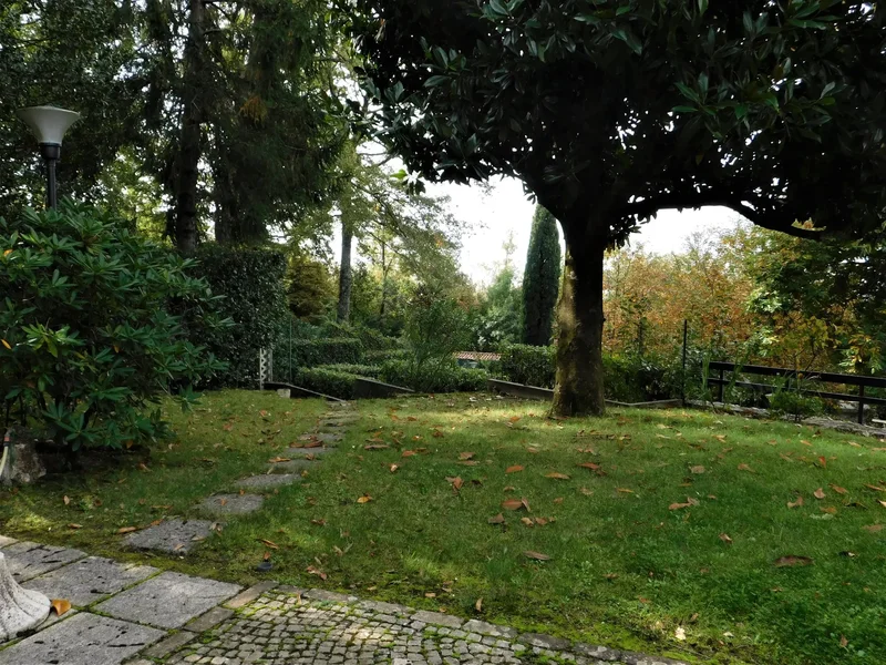 viale dell'agrifoglio, Ariccia, Lazio, Italy. - Photo 14