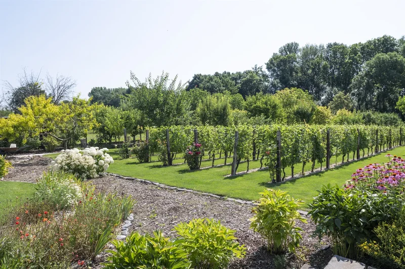 Vineyard Villa 105411, Trnava, Trnava Region, Slovakia. - Photo 14