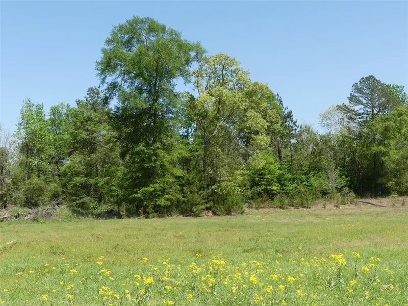 10994 Kittys Lane, Conroe, TX 77303, Conroe, Texas, United States. - Photo 21