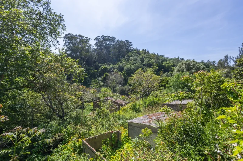 Sintra, Sintra, Lisbon, Portugal. - Photo 3