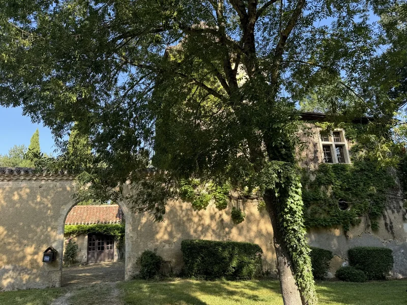 Pavie, Pavie, Pavie, Occitanie, France. - Photo 8