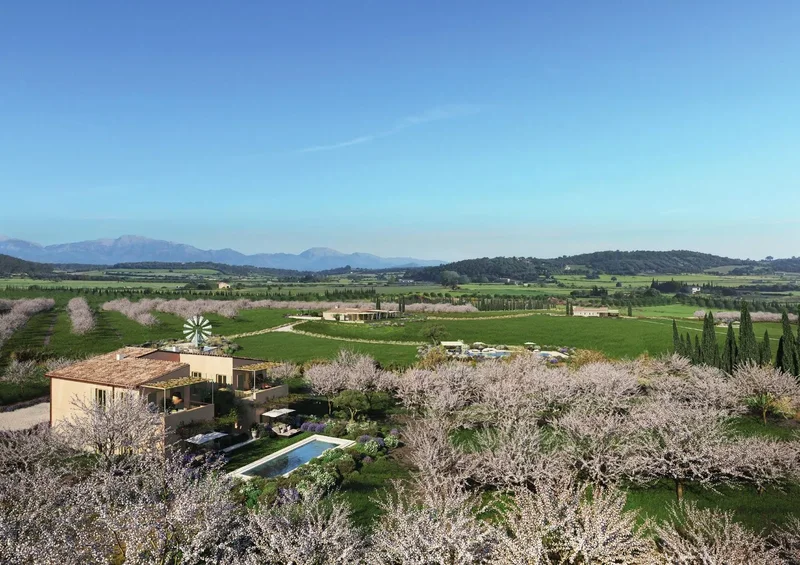 Ma-3131, 07210 Algaida, Illes Balears, Spain, Algaida, Balearic Islands, Spain. - Photo 3