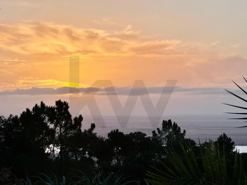 Vila Franca de Xira, Vila Franca de Xira, Lisboa, Vila Franca de Xira, Vila Franca de Xira, Lisbon, Portugal. - Photo 12