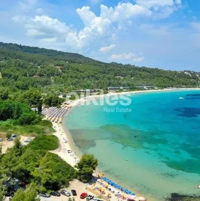 Thumbnail 13