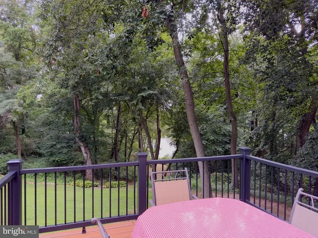 14540 STIRRUP LANE, GALENA, MD 21635, Galena, Maryland, United States. - Photo 57