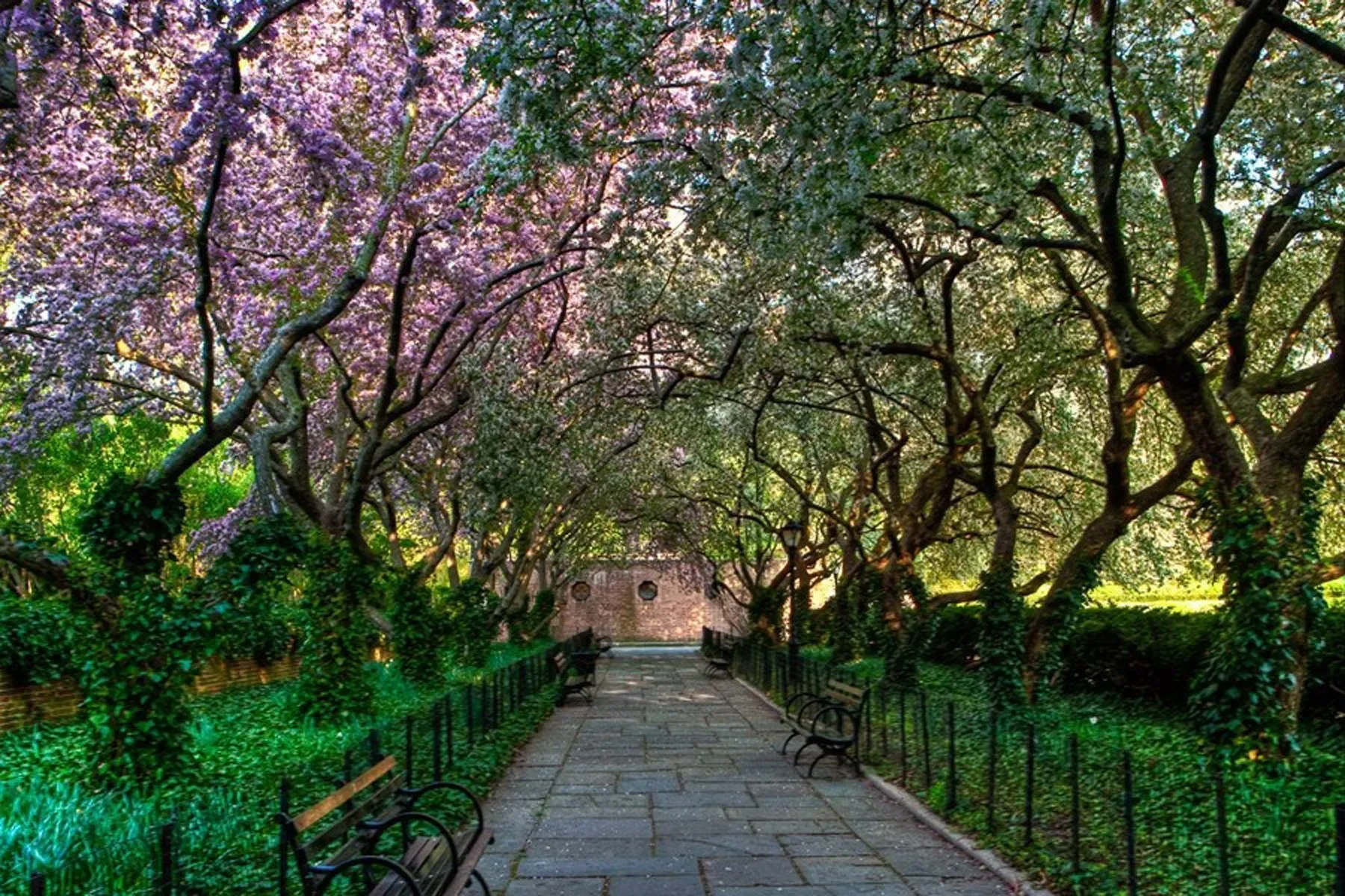 930 Fifth Avenue 7B, New York, NY 10021, New York, New York, United States. - Photo 5
