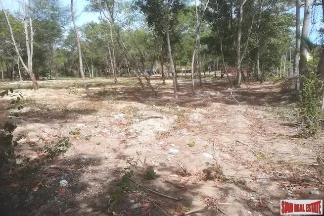 Flat 19 Rai Land Plot for Sale only 250 m. from the Golden Sands of Mai Khao Beach