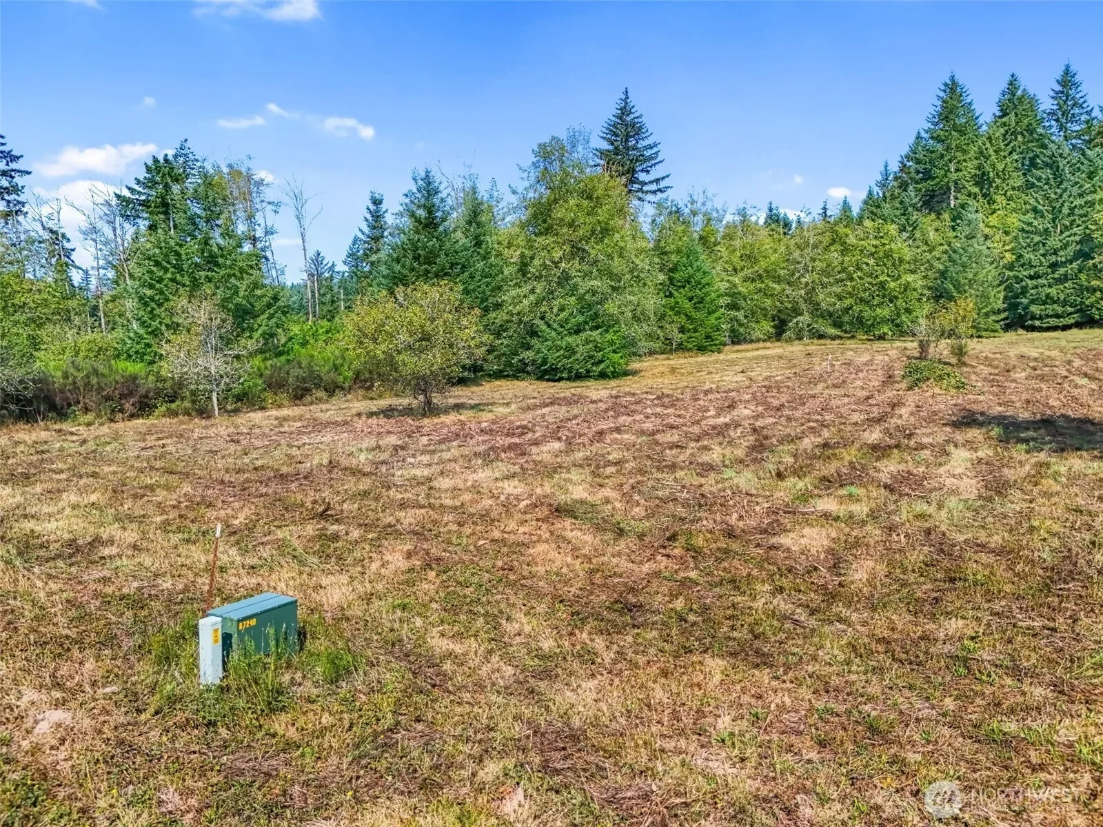 104 Bills Lane, Onalaska, WA 98570, Onalaska, Washington, United States. - Photo 13